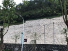 中國宣紙文化園外的山坡上曬紙