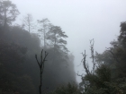 遊覽峨眉山